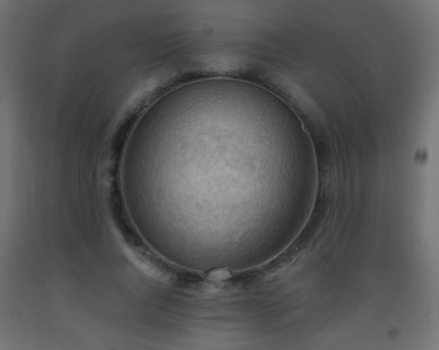 X0000093560736200710151107