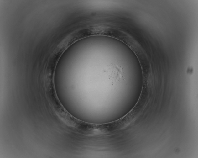 X0000093560737200710151107
