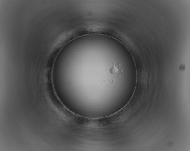 X0000093560738200710151107