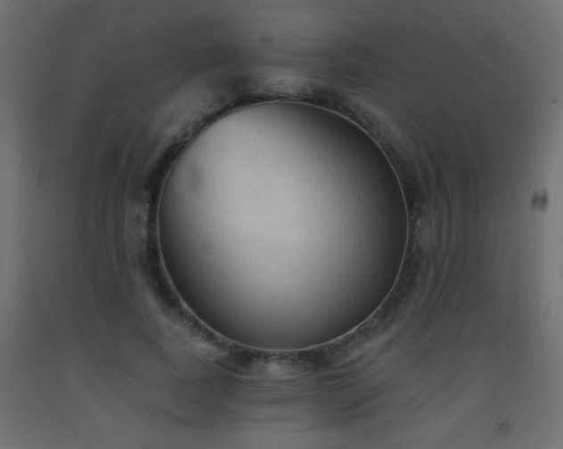 X0000093560739200710151107