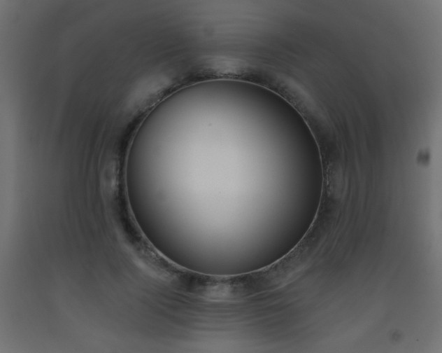 X0000093560740200710151107