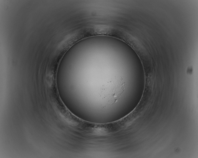 X0000093560741200710151107