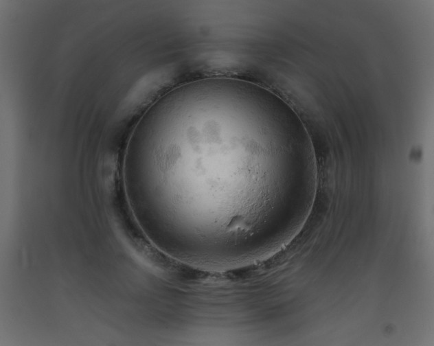X0000093560742200710151107
