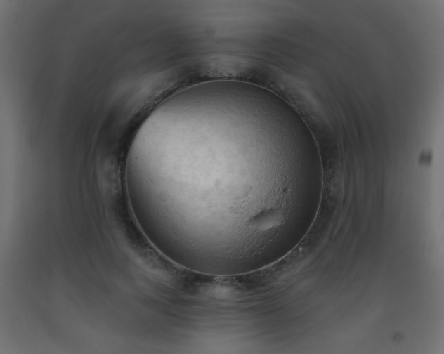 X0000093560743200710151107