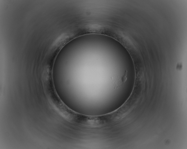 X0000093560744200710151107