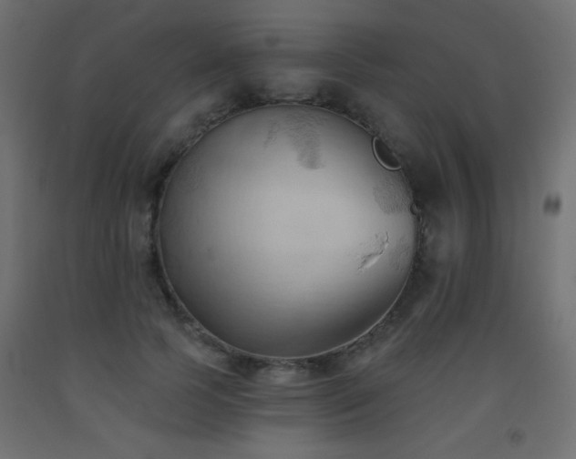 X0000093560745200710151107