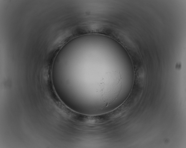 X0000093560746200710151107