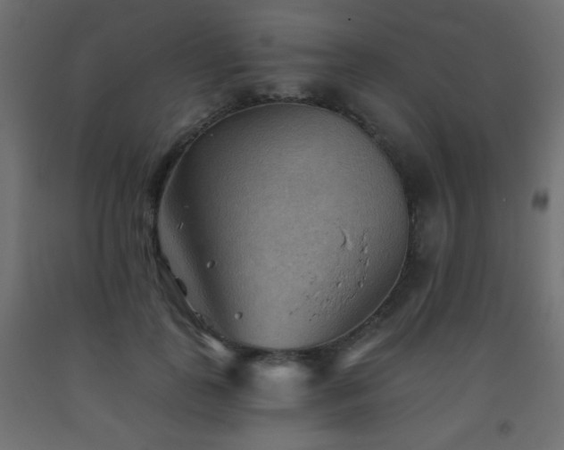 X0000093560747200710151107