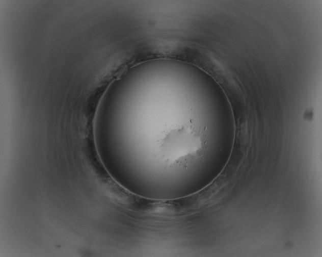 X0000093560750200710151107