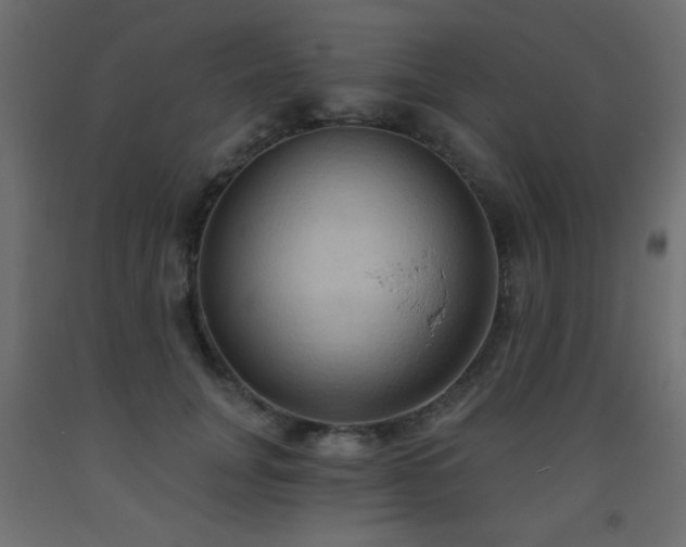 X0000093560751200710151107