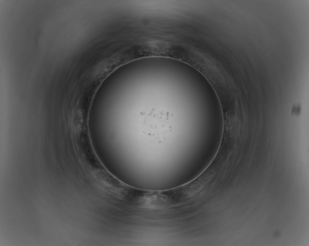 X0000093560752200710151107