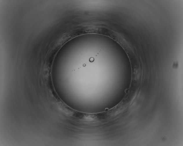 X0000093560753200710151107