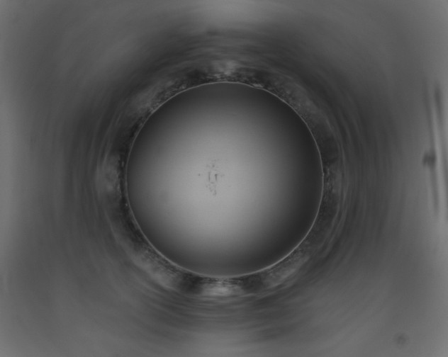 X0000093560754200710151107