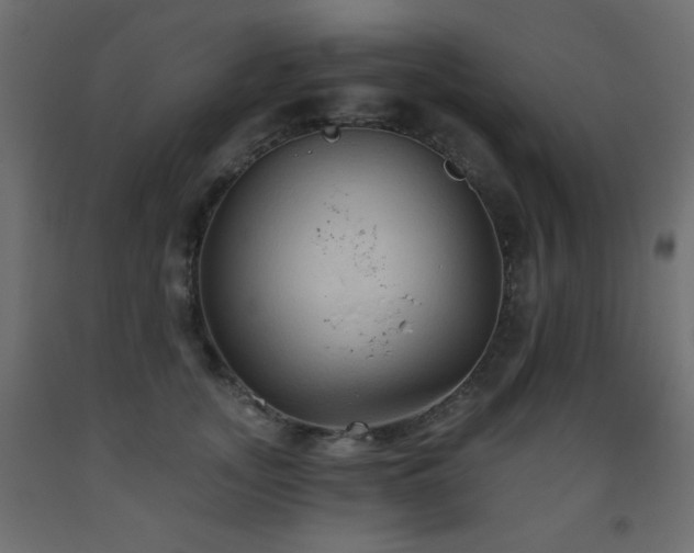 X0000093560755200710151107