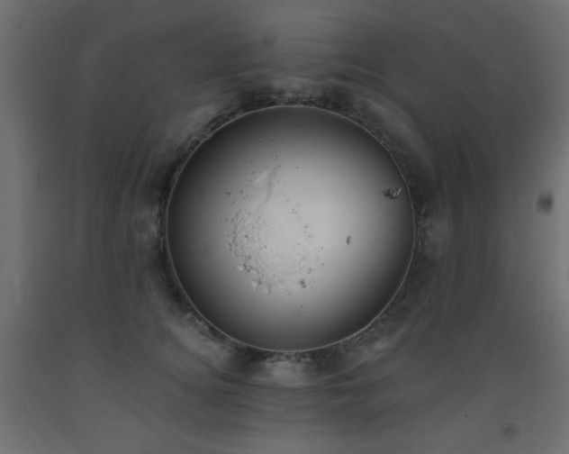 X0000093560756200710151107