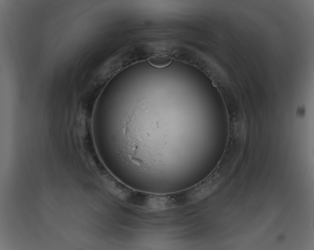 X0000093560757200710151107
