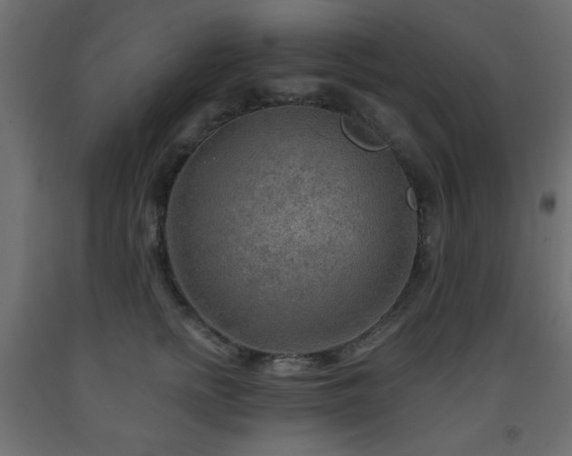 X0000093560758200710151107