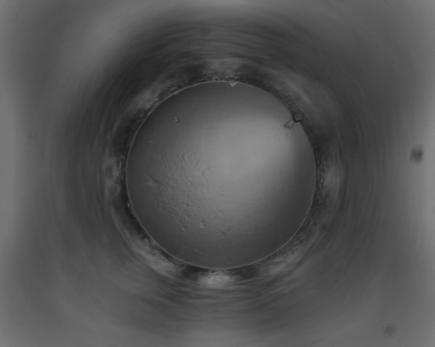 X0000093560759200710151107