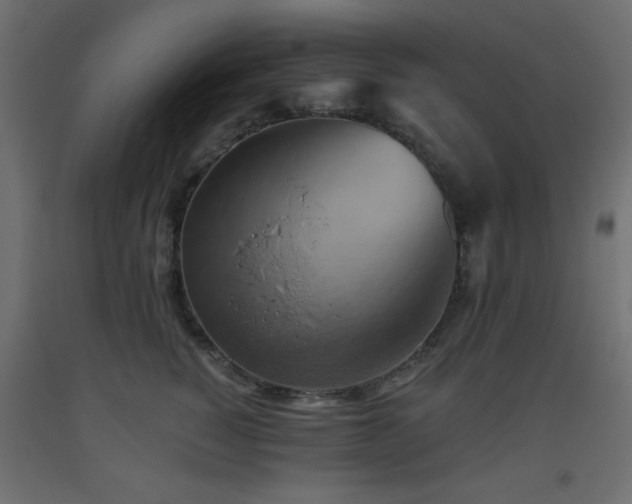 X0000093560760200710151107
