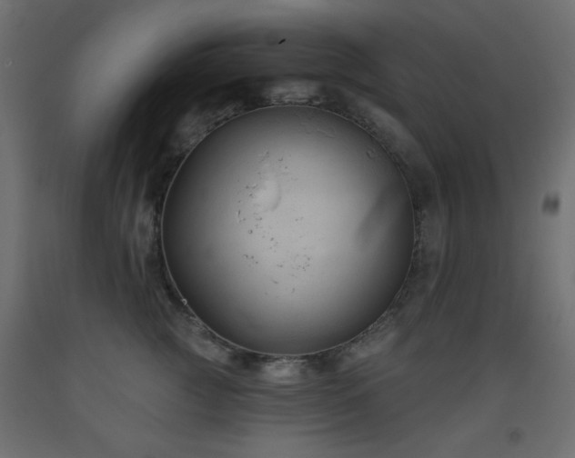 X0000093560761200710151107