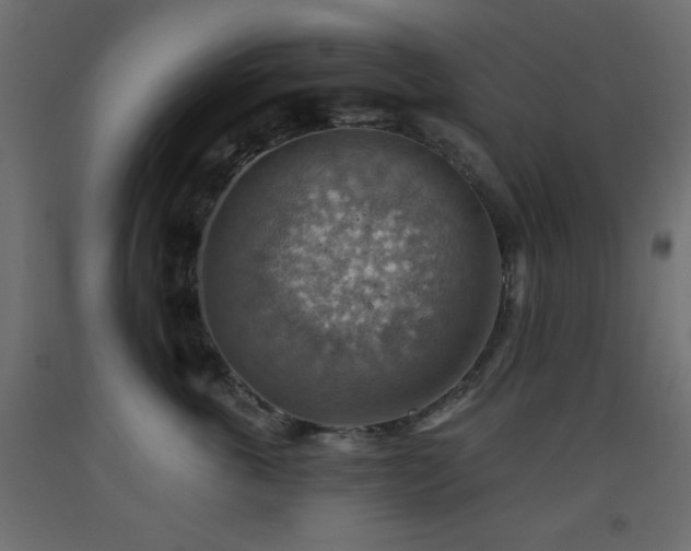 X0000093560763200710151107