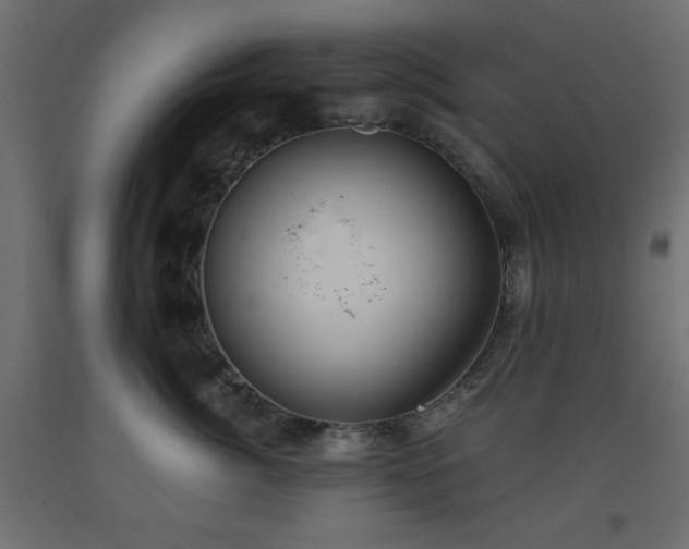 X0000093560764200710151107