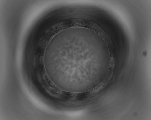 X0000093560765200710151107