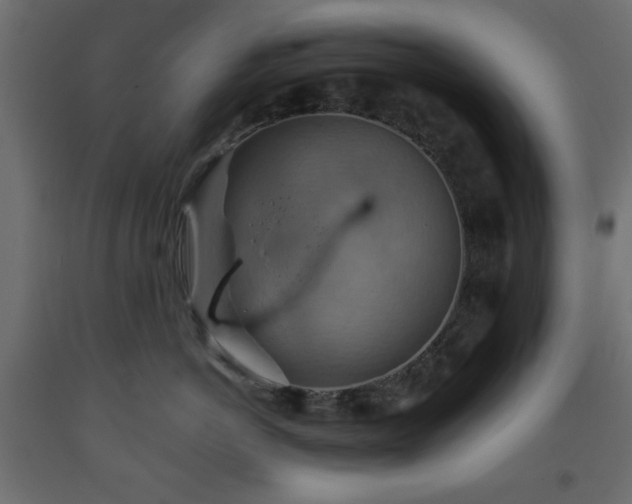 X0000093560766200710151107