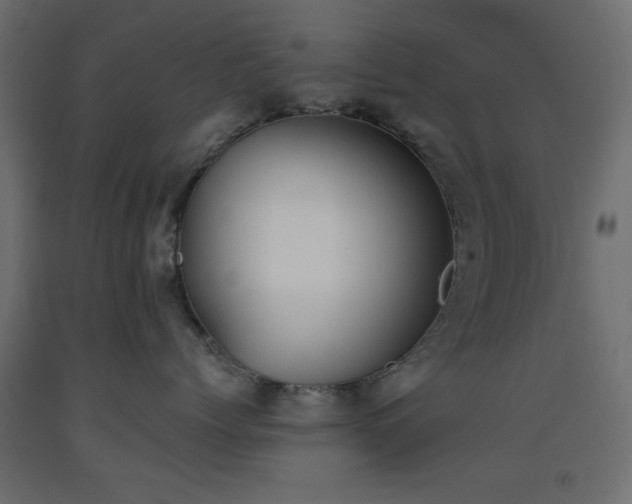 X0000093560768200710151107