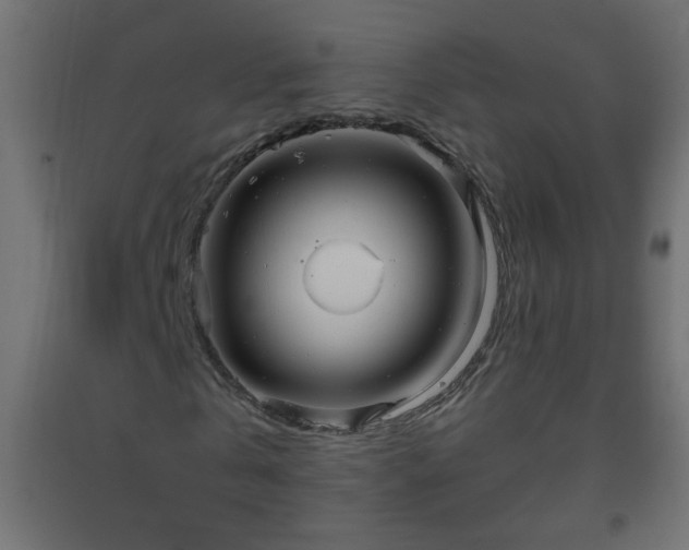 X0000093560769200710151106