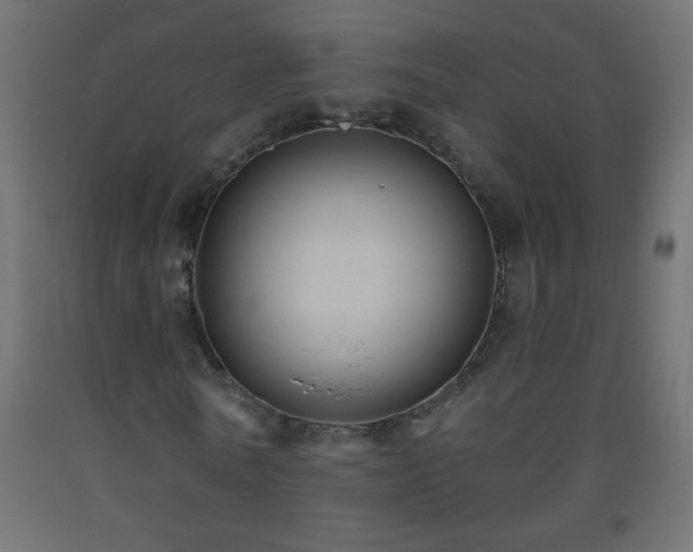 X0000093560770200710151106