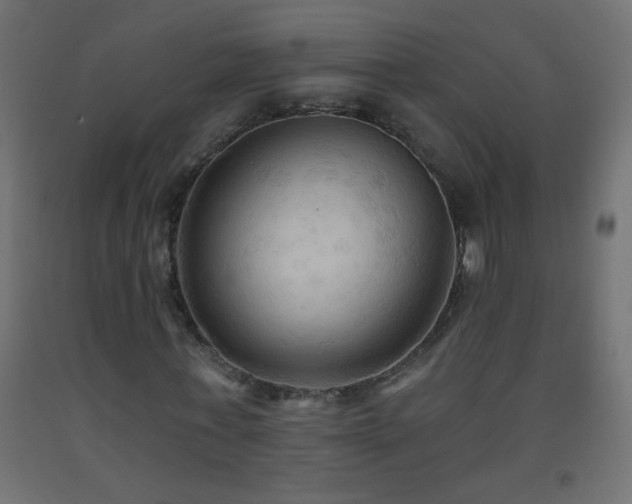 X0000093560771200710151106
