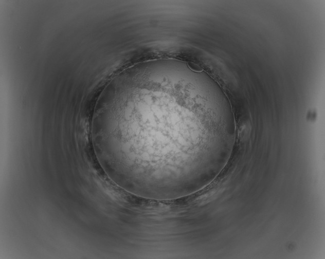 X0000093560772200710151106
