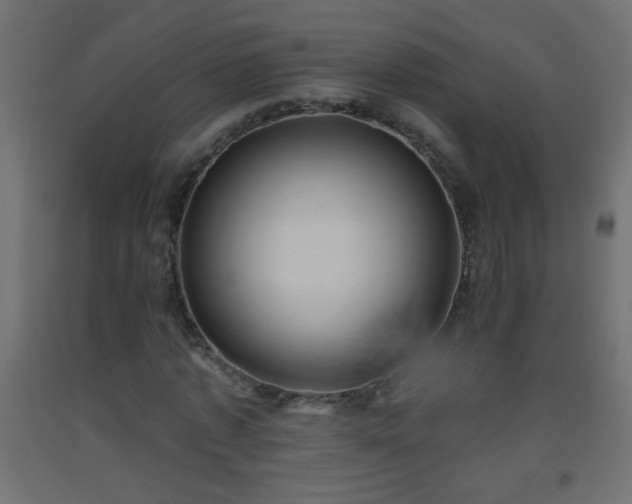 X0000093560773200710151106
