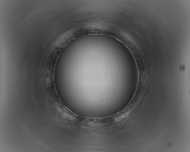 X0000093560774200710151106