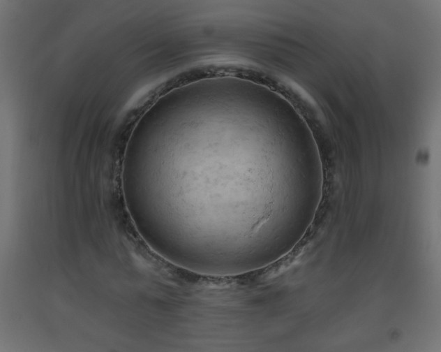 X0000093560775200710151106