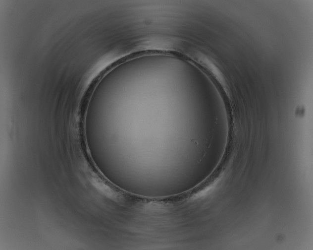 X0000093560779200710151106