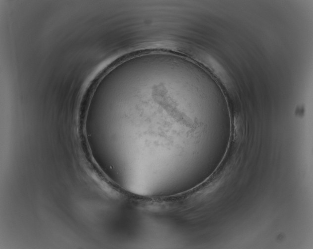 X0000093560780200710151106