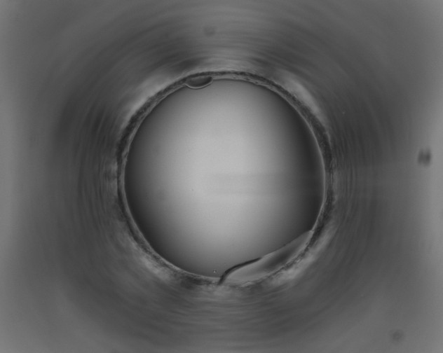 X0000093560781200710151106
