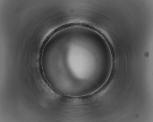 X0000093560783200710151106