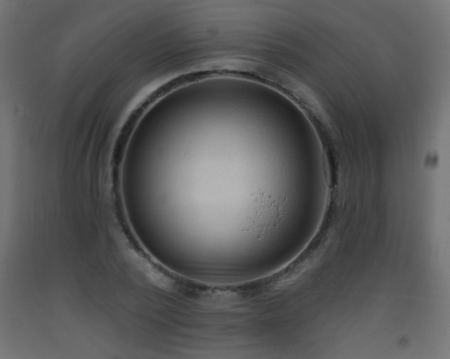 X0000093560784200710151106