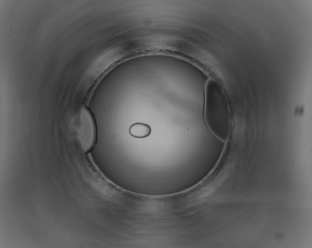 X0000093560785200710151106