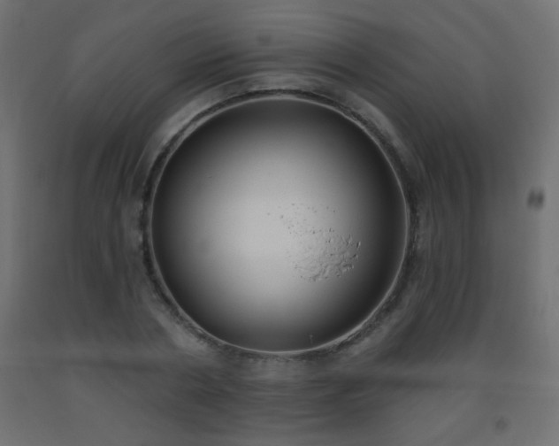 X0000093560786200710151106