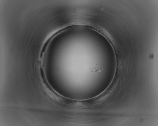 X0000093560787200710151106