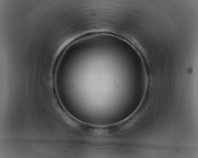 X0000093560789200710151106