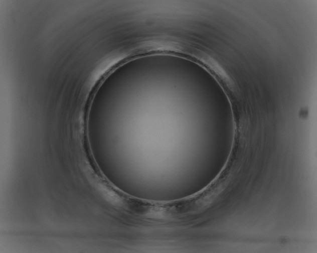 X0000093560790200710151106