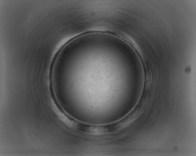 X0000093560795200710151106