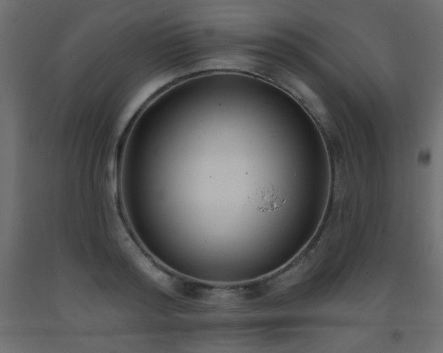 X0000093560796200710151106