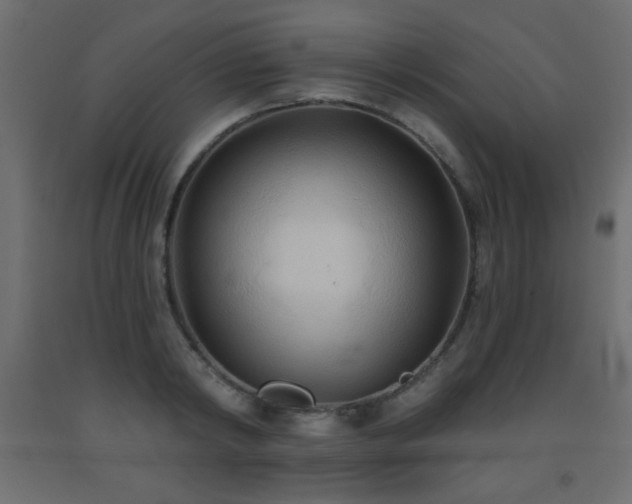 X0000093560798200710151106