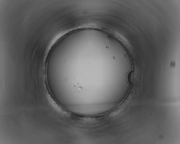 X0000093560800200710151106